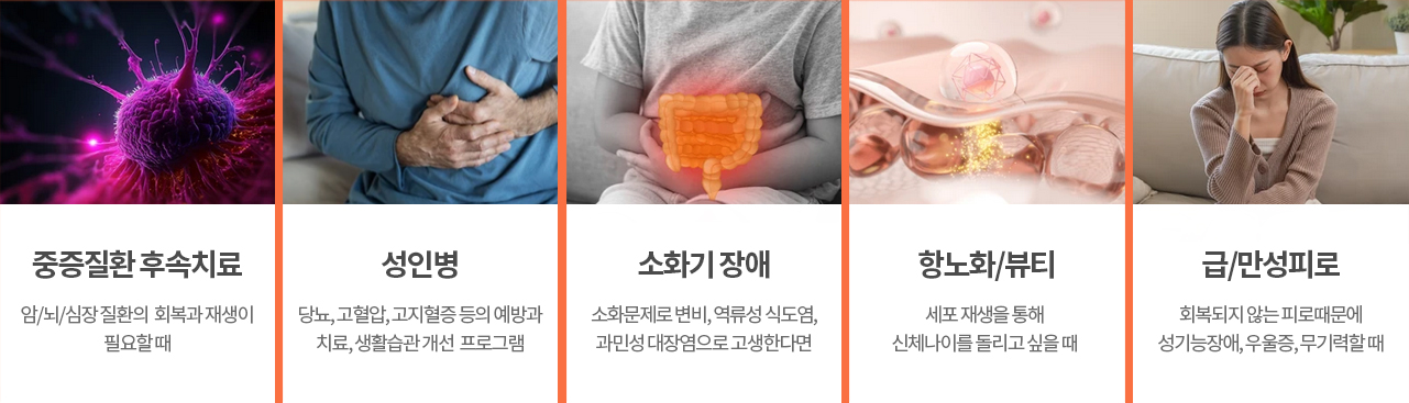 Total Life Care 시스템