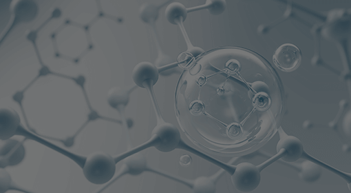 활성산소 및 항산화력 검사