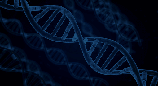 장내미생물 유전자 검사