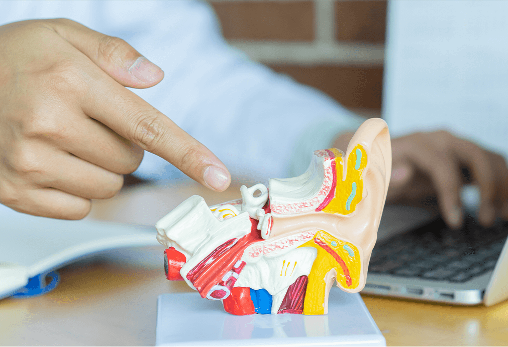 이석 정복 요법