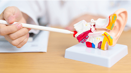 양성 돌발 체위 현기증, 메니에르, 전정신경염, 외림프누공 등