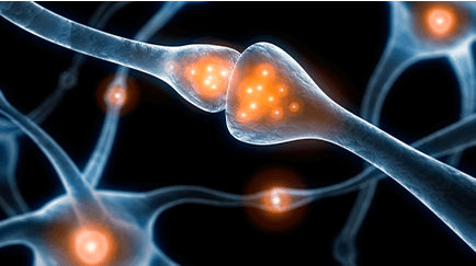 기립성 저혈압 등 자율신경계 이상