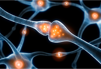 기립성 저혈압 등 자율신경계 이상