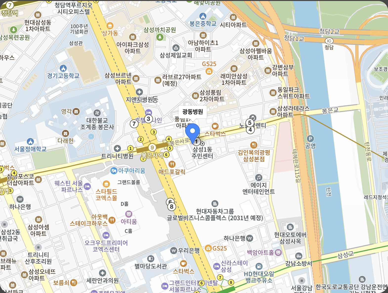 광동병원 위치 지도 보기