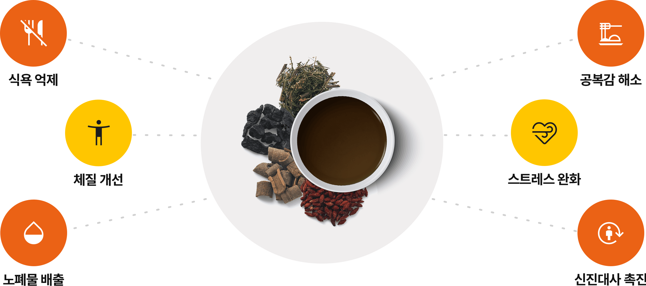 다이어트 한약 효과