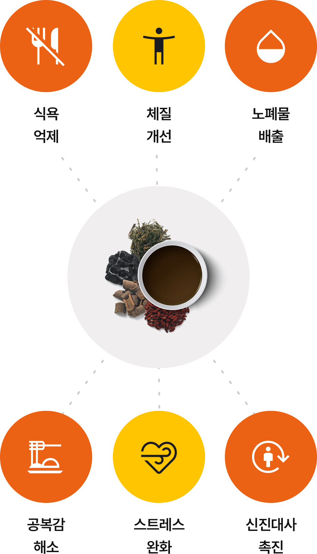 다이어트 한약 효과